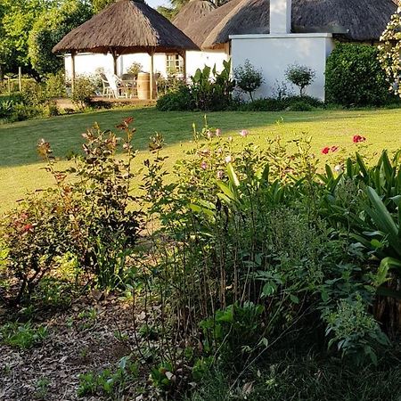piccadilly farm cottage Lions River Esterno foto