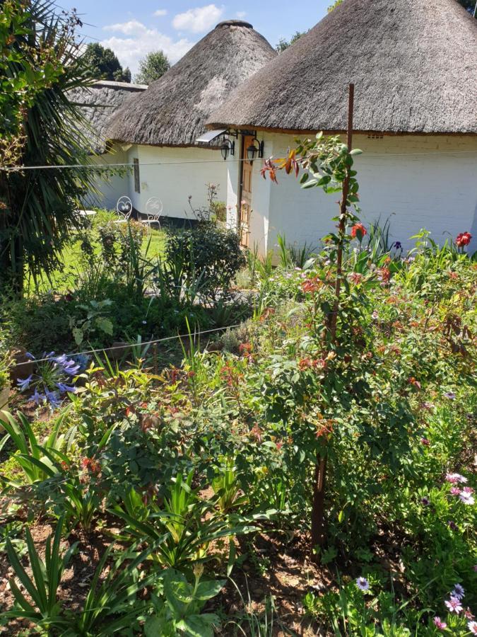 piccadilly farm cottage Lions River Esterno foto