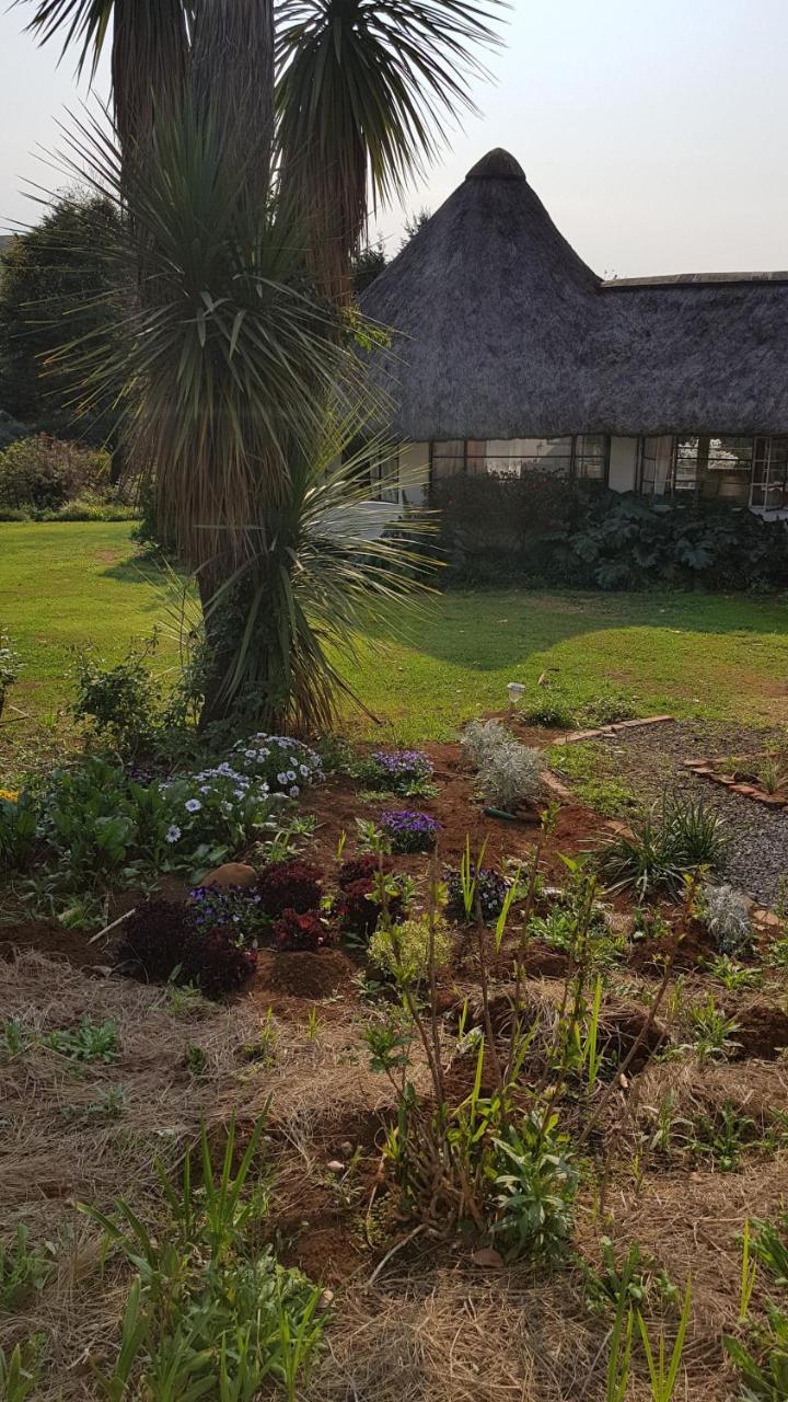 piccadilly farm cottage Lions River Esterno foto