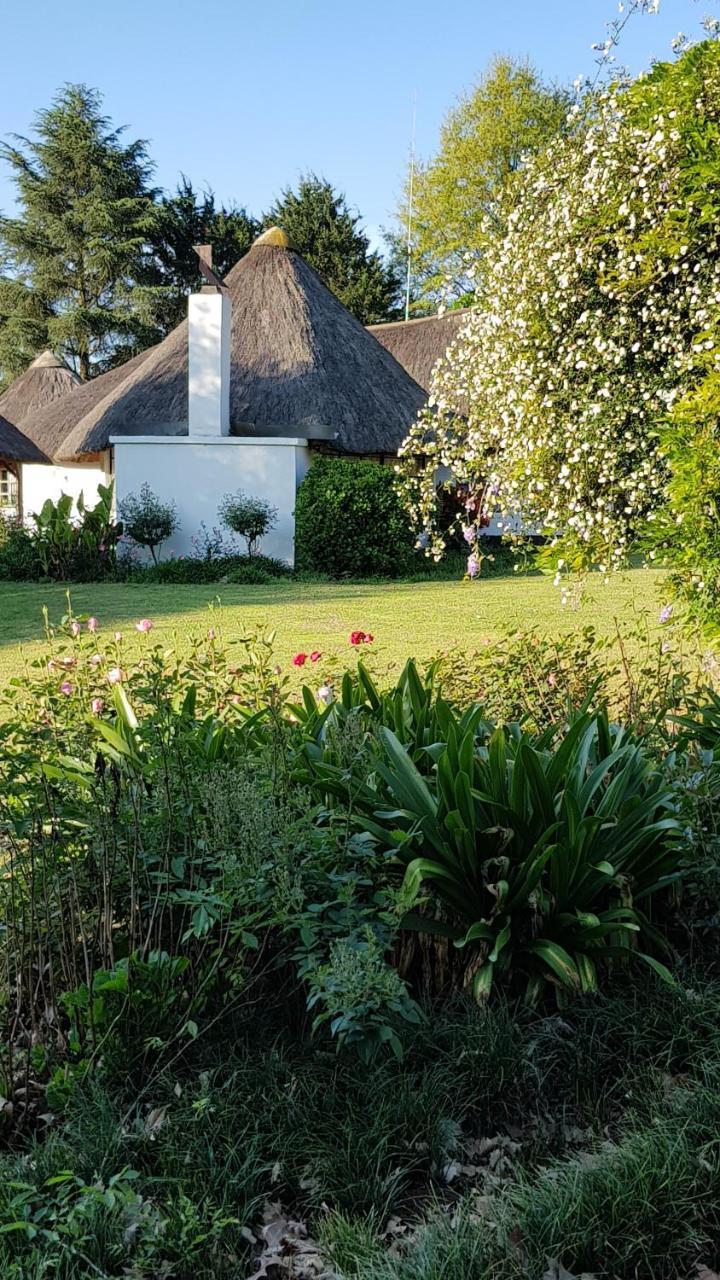 piccadilly farm cottage Lions River Esterno foto