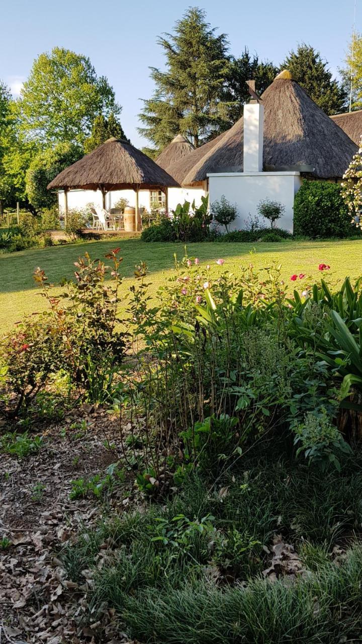 piccadilly farm cottage Lions River Esterno foto