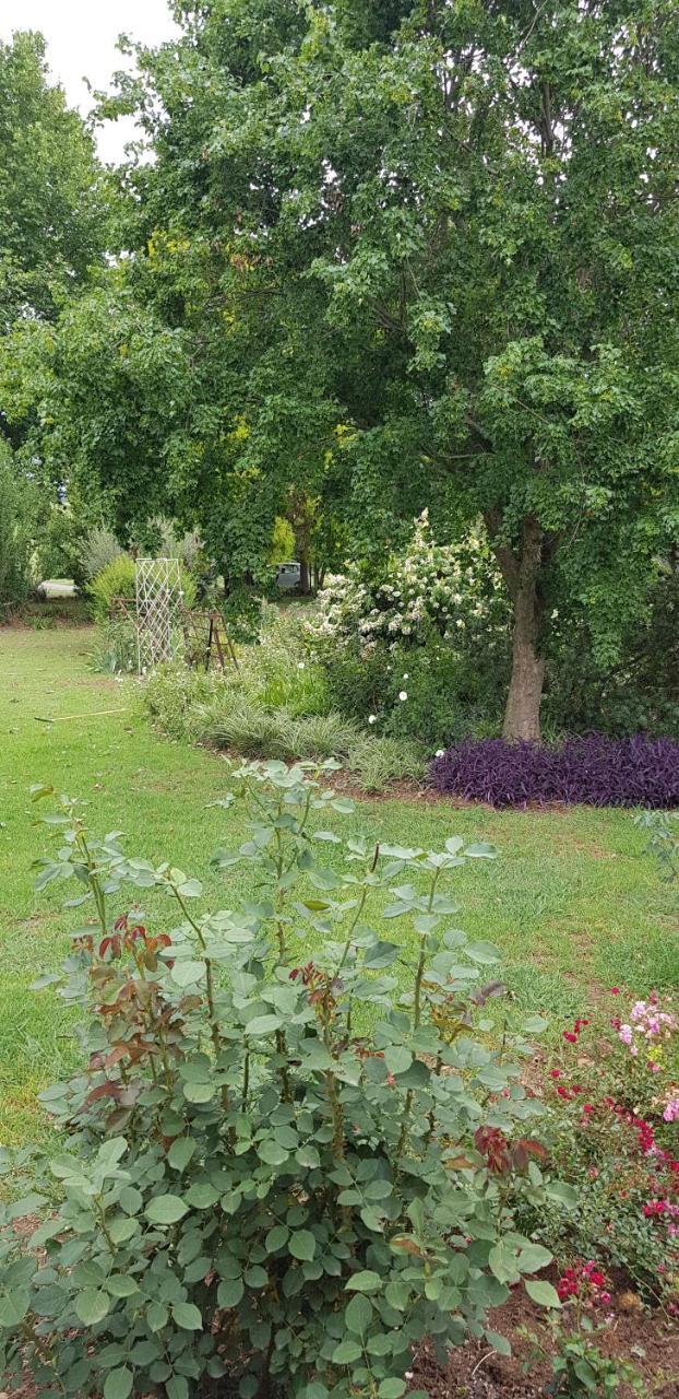 piccadilly farm cottage Lions River Esterno foto