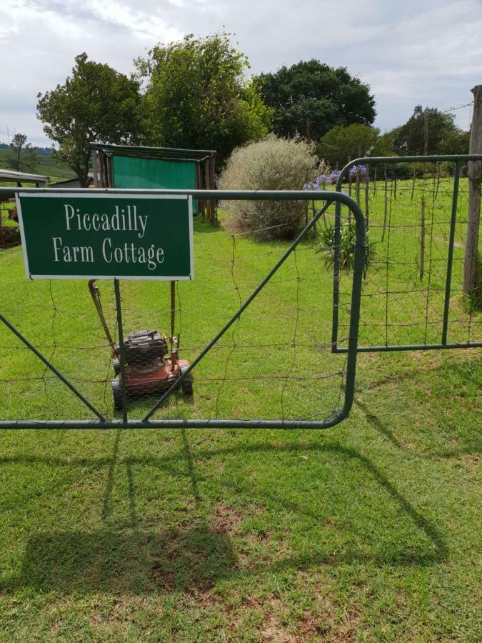 piccadilly farm cottage Lions River Esterno foto